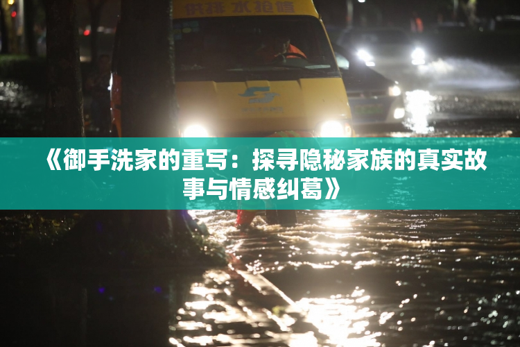 《御手洗家的重写：探寻隐秘家族的真实故事与情感纠葛》