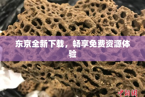 东京全新下载，畅享免费资源体验