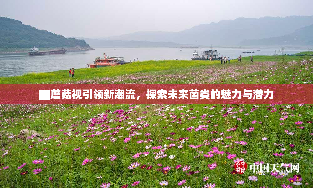 ▇蘑菇视引领新潮流，探索未来菌类的魅力与潜力