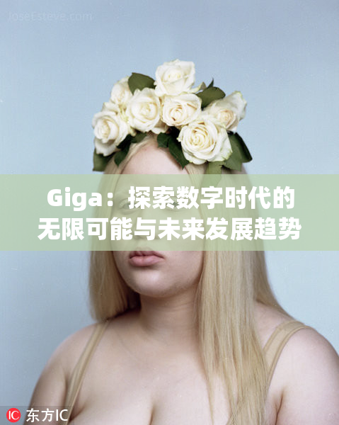 Giga：探索数字时代的无限可能与未来发展趋势