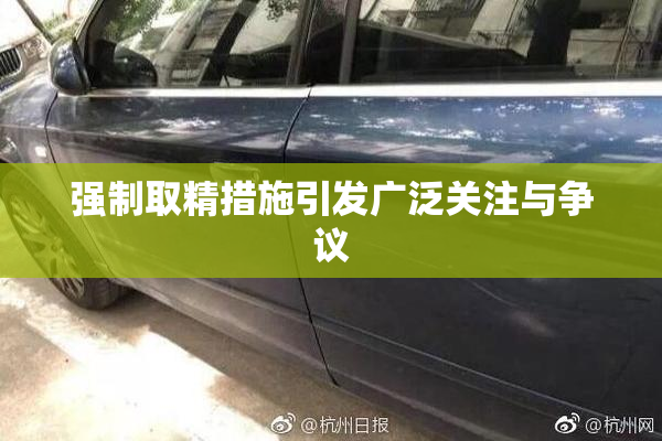 强制取精措施引发广泛关注与争议
