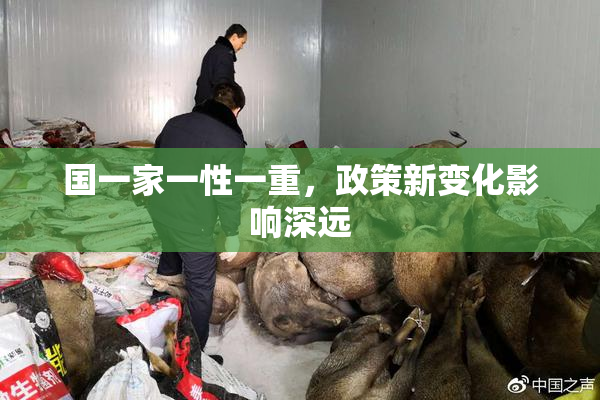 国一家一性一重，政策新变化影响深远