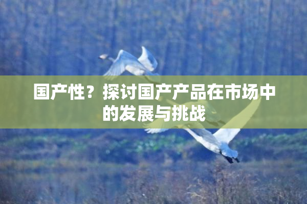 国产性？探讨国产产品在市场中的发展与挑战