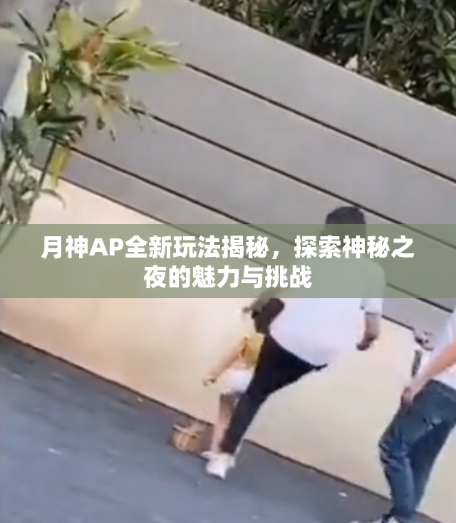 月神AP全新玩法揭秘，探索神秘之夜的魅力与挑战