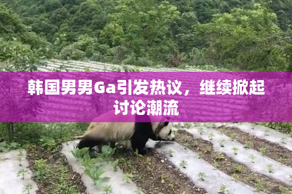 韩国男男Ga引发热议，继续掀起讨论潮流
