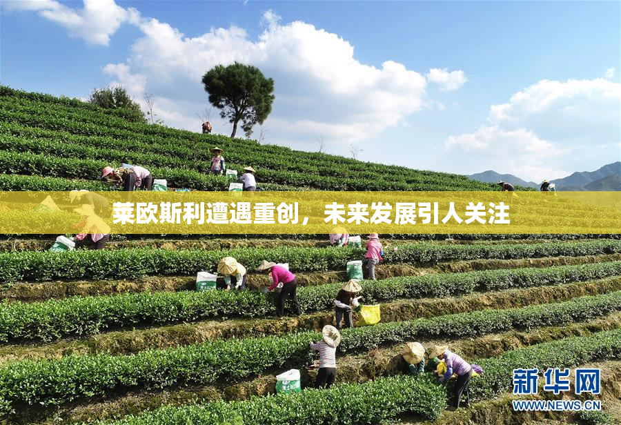 莱欧斯利遭遇重创，未来发展引人关注