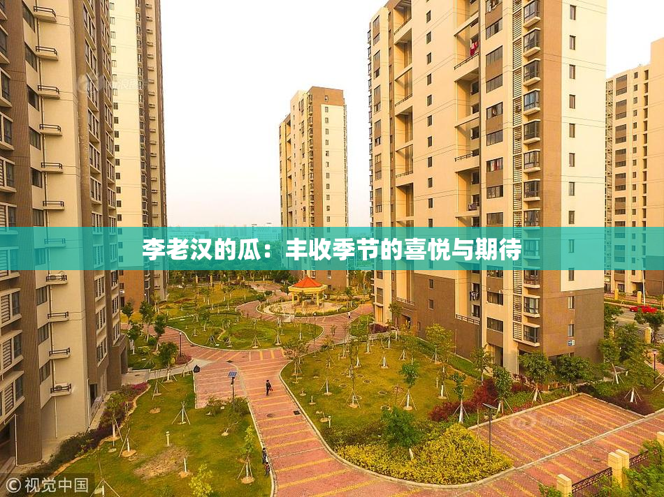 李老汉的瓜：丰收季节的喜悦与期待