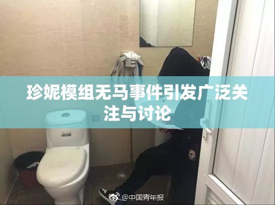 珍妮模组无马事件引发广泛关注与讨论