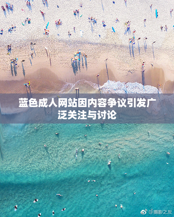 蓝色成人网站因内容争议引发广泛关注与讨论