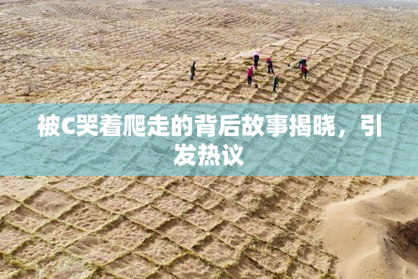 被C哭着爬走的背后故事揭晓，引发热议