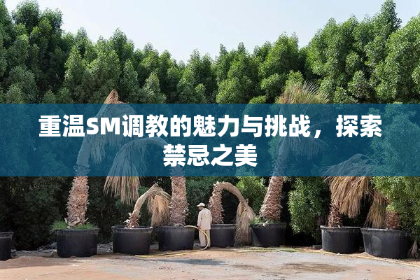 重温SM调教的魅力与挑战，探索禁忌之美