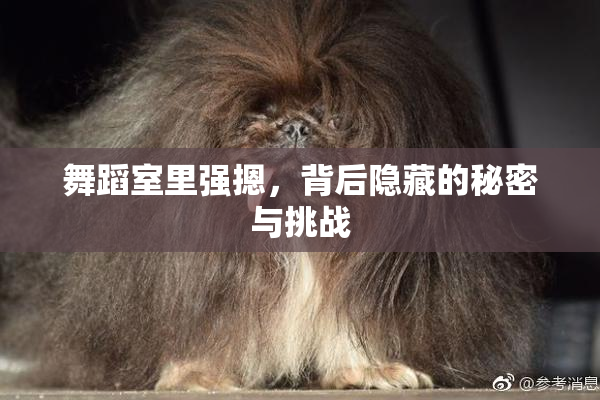 舞蹈室里强摁，背后隐藏的秘密与挑战