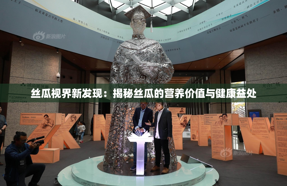丝瓜视界新发现：揭秘丝瓜的营养价值与健康益处