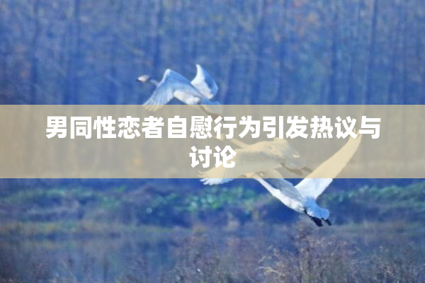 男同性恋者自慰行为引发热议与讨论