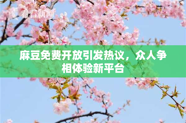麻豆免费开放引发热议，众人争相体验新平台