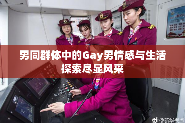 男同群体中的Gay男情感与生活探索尽显风采