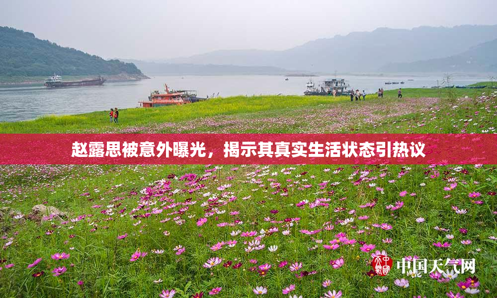 赵露思被意外曝光，揭示其真实生活状态引热议