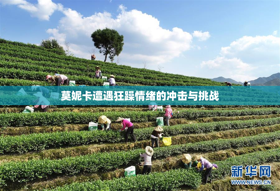 莫妮卡遭遇狂躁情绪的冲击与挑战