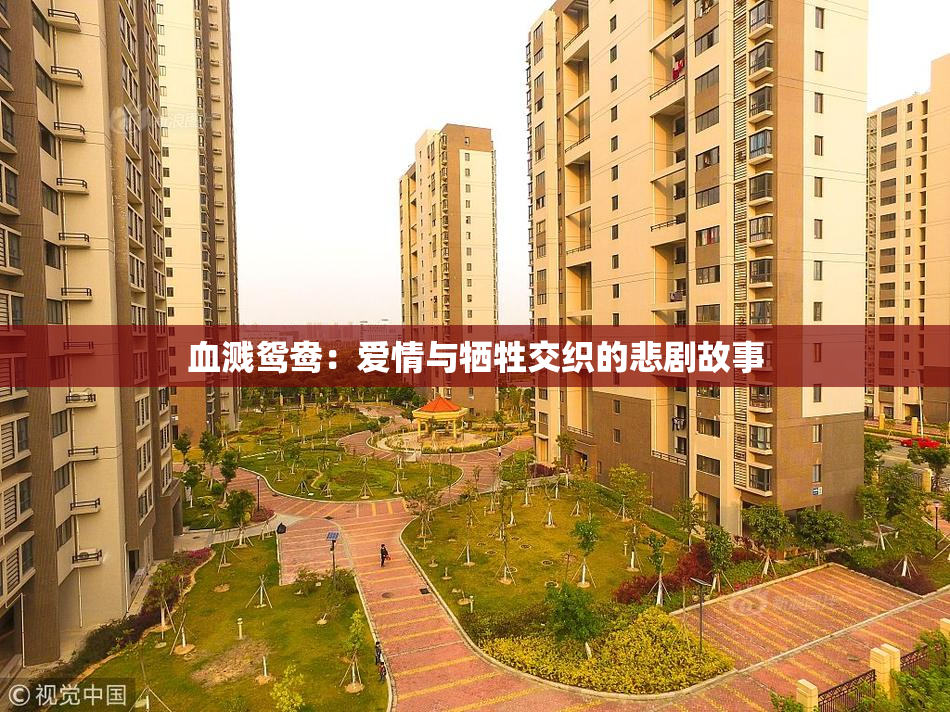 血溅鸳鸯：爱情与牺牲交织的悲剧故事