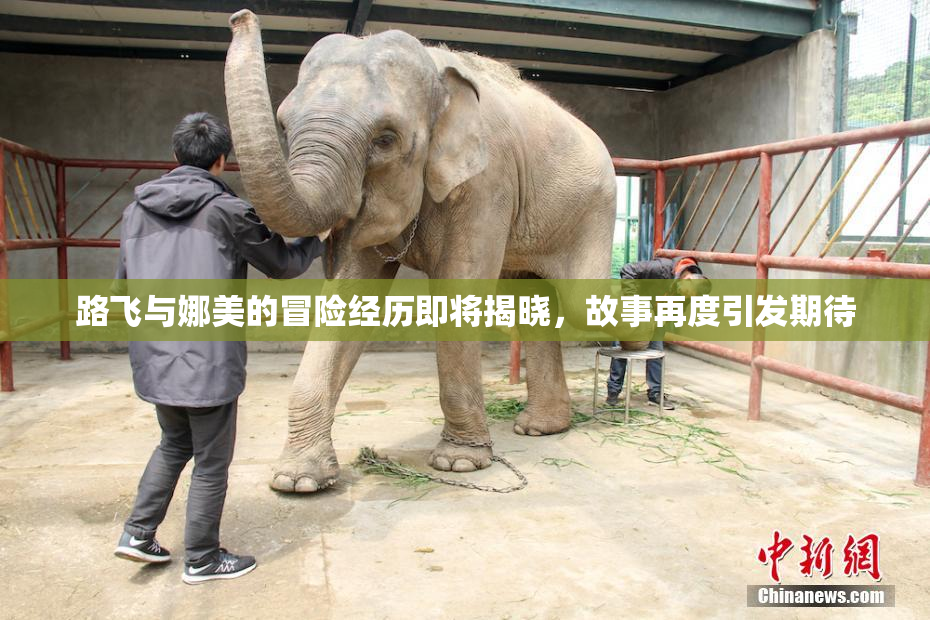路飞与娜美的冒险经历即将揭晓，故事再度引发期待