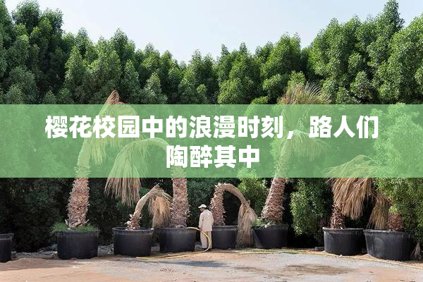 樱花校园中的浪漫时刻，路人们陶醉其中