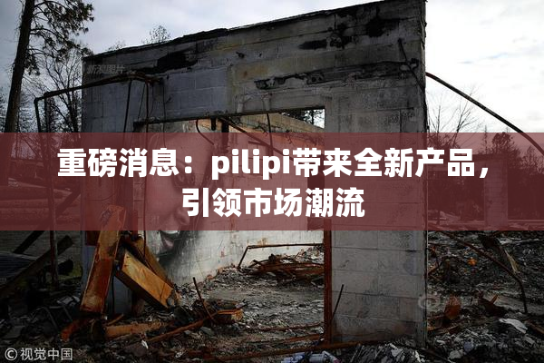 重磅消息：pilipi带来全新产品，引领市场潮流