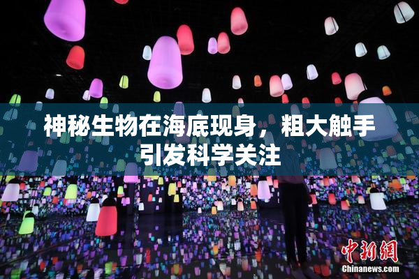 神秘生物在海底现身，粗大触手引发科学关注