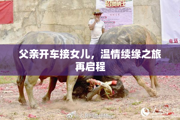 父亲开车接女儿，温情续缘之旅再启程