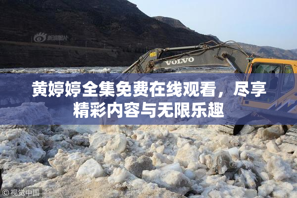 黄婷婷全集免费在线观看，尽享精彩内容与无限乐趣