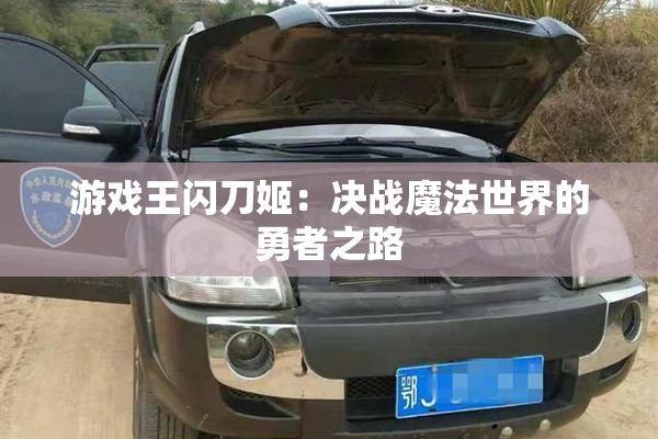 游戏王闪刀姬：决战魔法世界的勇者之路