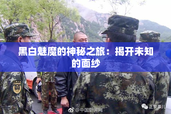 黑白魅魔的神秘之旅：揭开未知的面纱