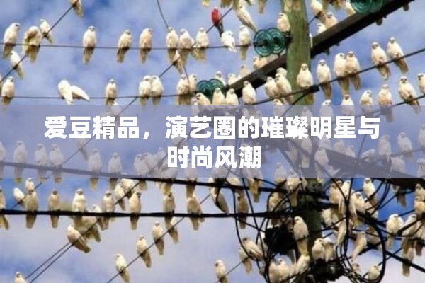 爱豆精品，演艺圈的璀璨明星与时尚风潮