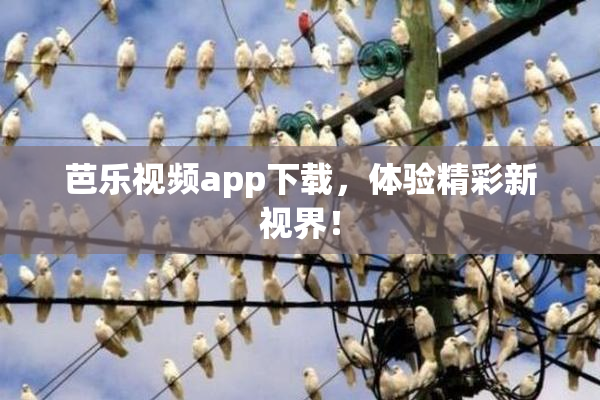 芭乐视频app下载，体验精彩新视界！
