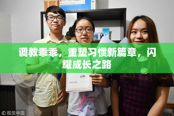 调教乖乖，重塑习惯新篇章，闪耀成长之路