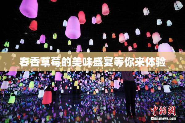 春香草莓的美味盛宴等你来体验