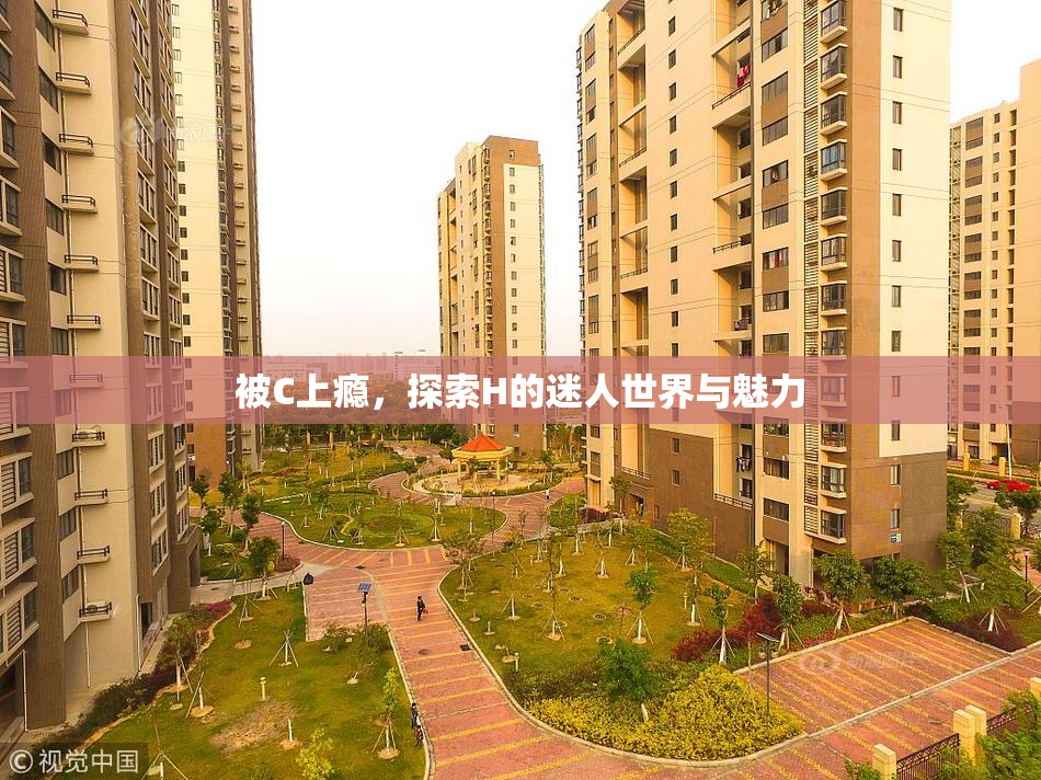 被C上瘾，探索H的迷人世界与魅力