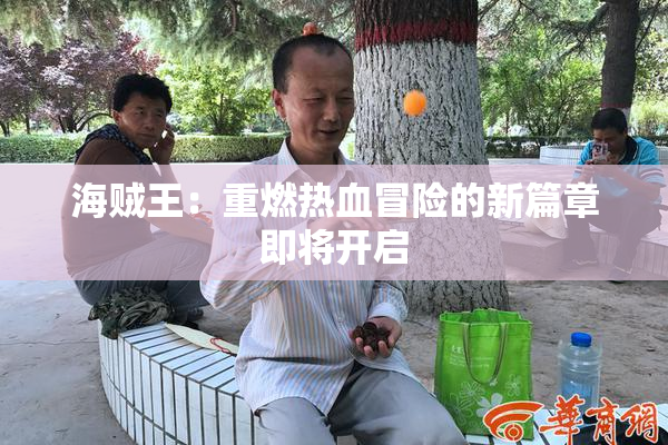 海贼王：重燃热血冒险的新篇章即将开启