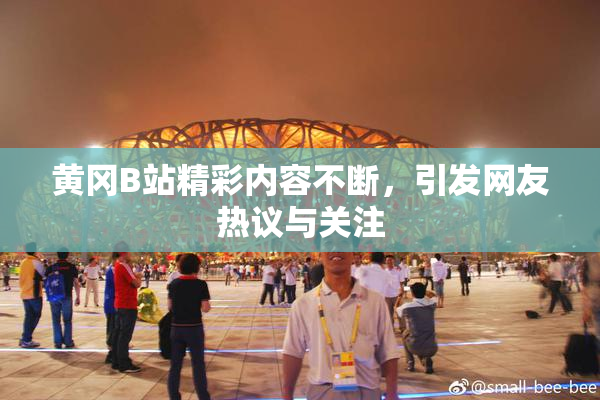 黄冈B站精彩内容不断，引发网友热议与关注