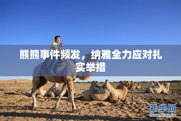 熊熊事件频发，纳雅全力应对扎实举措