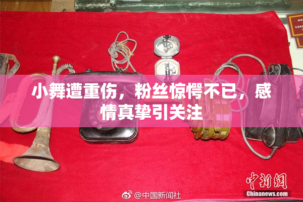 小舞遭重伤，粉丝惊愕不已，感情真挚引关注