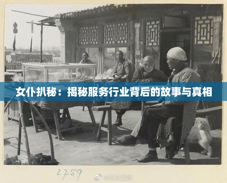女仆扒秘：揭秘服务行业背后的故事与真相