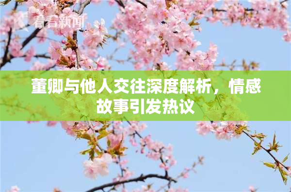 董卿与他人交往深度解析，情感故事引发热议