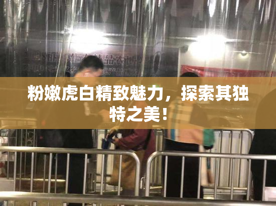 粉嫩虎白精致魅力，探索其独特之美！