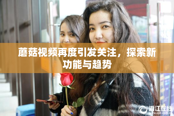 蘑菇视频再度引发关注，探索新功能与趋势