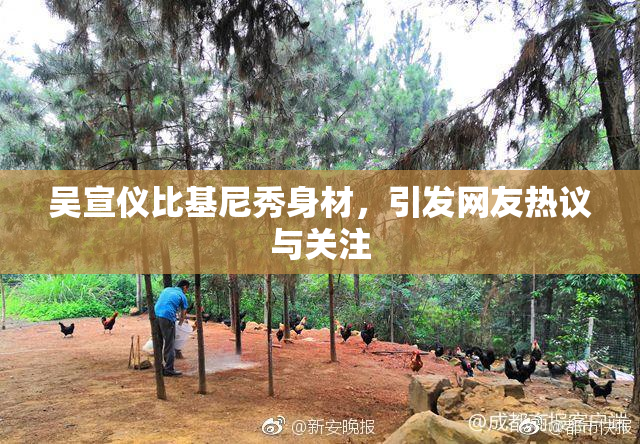 吴宣仪比基尼秀身材，引发网友热议与关注