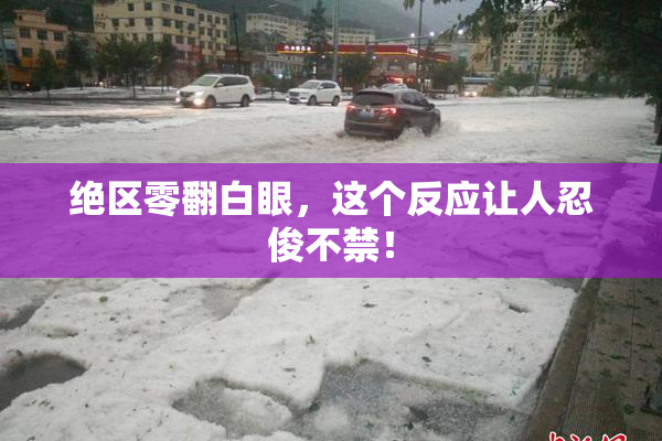 绝区零翻白眼，这个反应让人忍俊不禁！