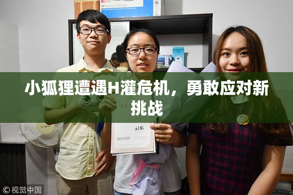 小狐狸遭遇H灌危机，勇敢应对新挑战