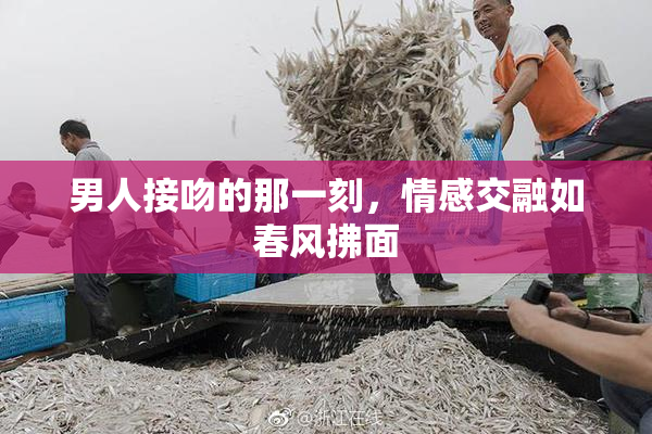 男人接吻的那一刻，情感交融如春风拂面