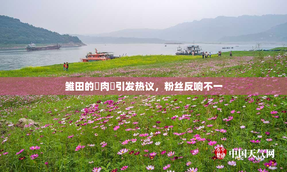 雏田的婬肉泬引发热议，粉丝反响不一