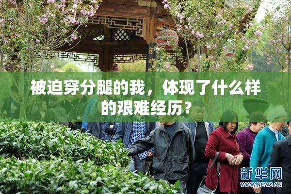 被迫穿分腿的我，体现了什么样的艰难经历？